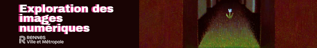 Manual-Exploration des images num riques Capture d cran 2025-08-19 153224.png