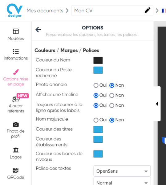 Fichier:Cr er un CV avec CVdesignr options.png
