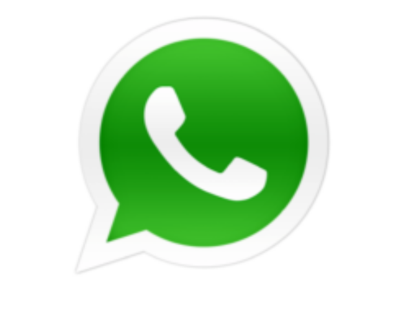Manual-What_sApp_pour_tous_Whatsapp-logo-pc-600x314.png