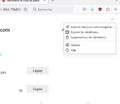 Vignette pour la version du 23 septembre 2024 à 17:08