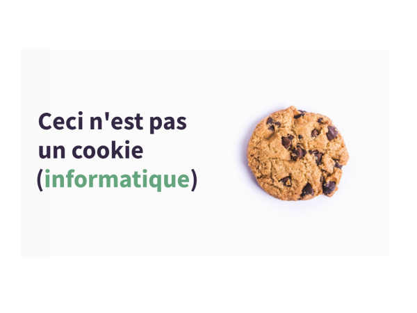 Cookies_internes_ou_Cookies_tiers_Capture_d_cran_2023-04-06_171239.png