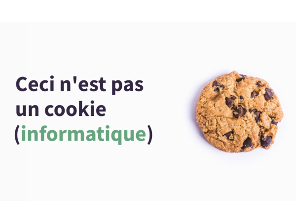 Cookies_internes_ou_Cookies_tiers_Capture_d_cran_2023-04-06_171239.png