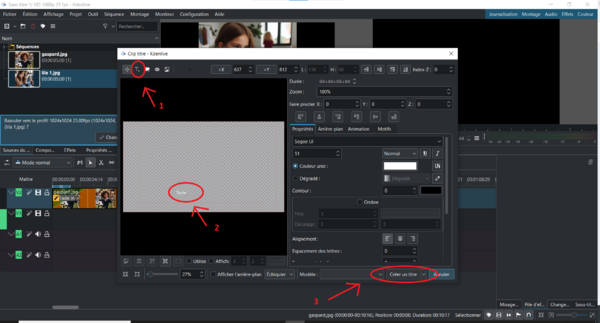 Montage vid o - Ajouter un clip titre Capture d cran 2024-08-06 162044.png