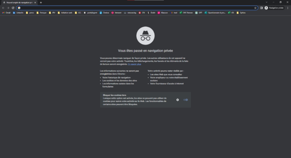 Navigation priv e - Google Chrome nav.png
