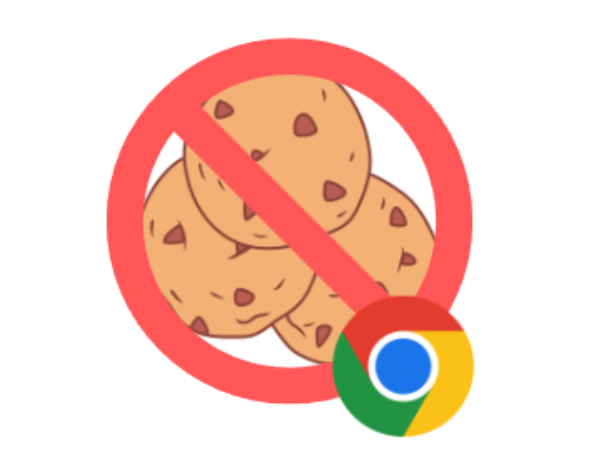 Installer_une_extension_-_Google_Chrome_cookie_chrome.png